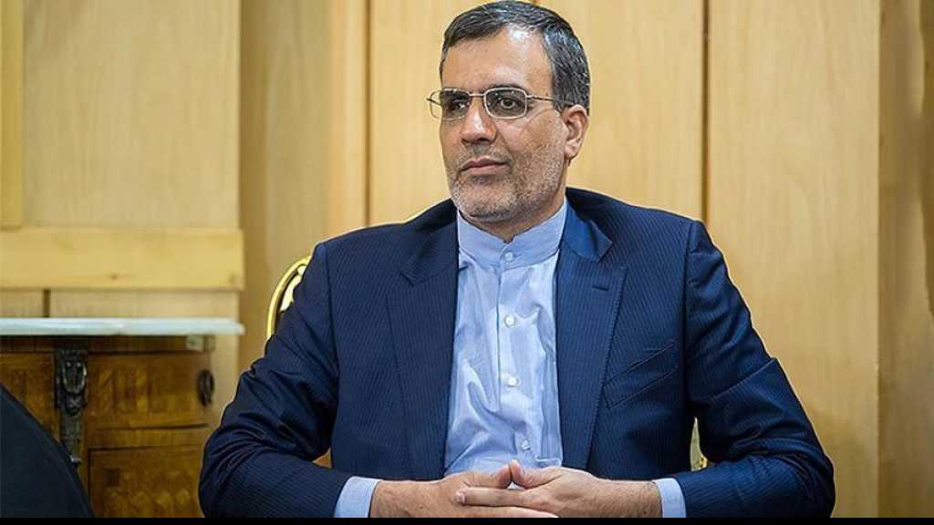 أنصاري: عودة النازحين وتعديل الدستور وتبادل المعتقلين من أولويات الحكومة السورية