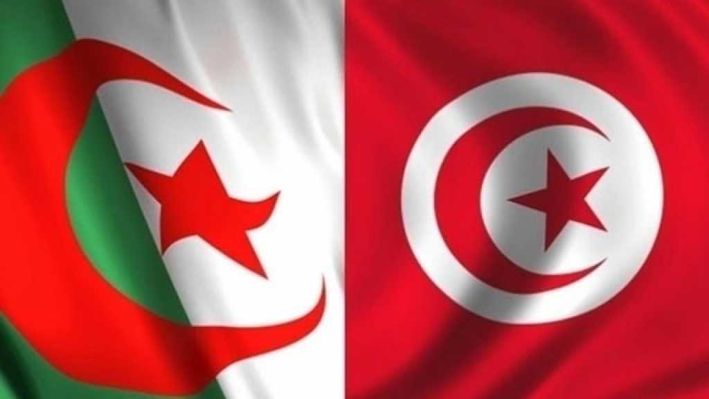  العلاقات التونسية الجزائرية ومساعي تطويق الأزمات
