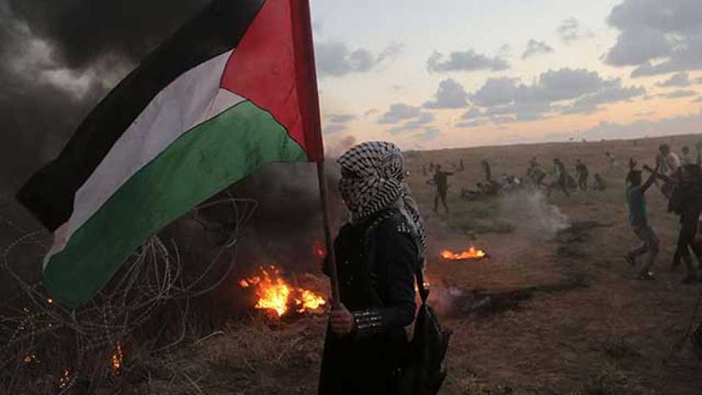فلسطين على موعد مع جمعة &rsquo;الثبات والصمود&rsquo;