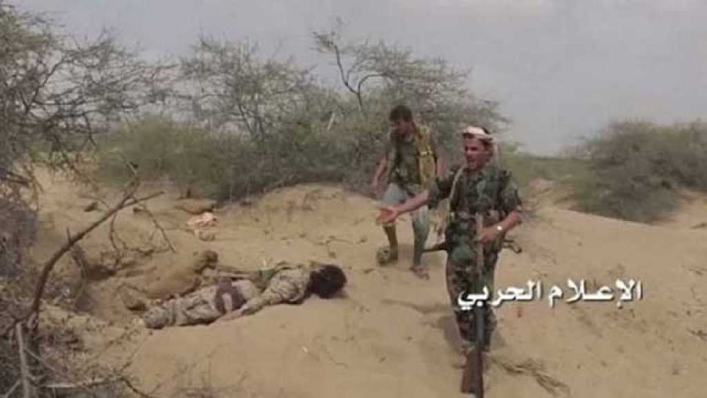 اليمن: خسائر كبيرة للعدوان السعودي في الساحل الغربي ومأرب ونجران