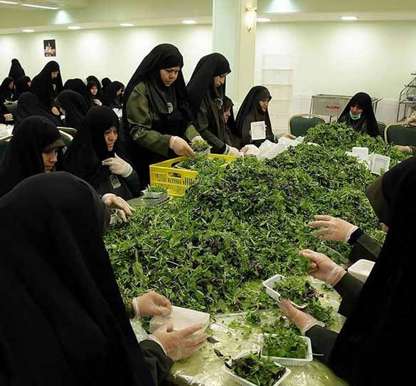 موائد الإفطار في العتبة الرضوية