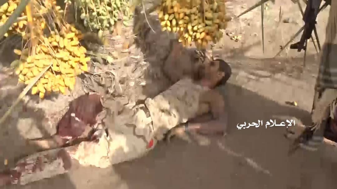بالصور: كتيبة كاملة لمرتزقة العدوان بين قتيل وجريح وأسير في الساحل الغربي