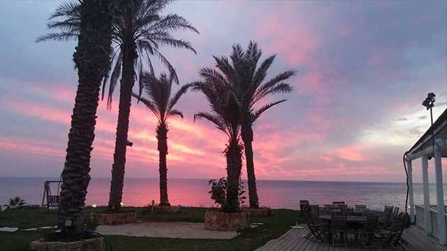 فلسطين .. الجميلة 