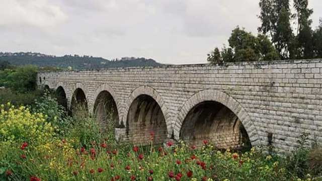فلسطين .. الجميلة 