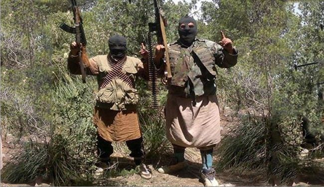 هجوم عين سلطان...من هي كتيبة &rsquo;عقبة بن نافع&rsquo;؟